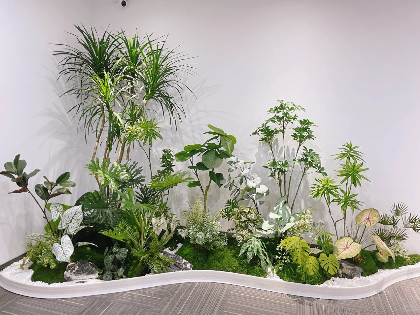 专业盆景出租，宁波余姚打造独特景观氛围